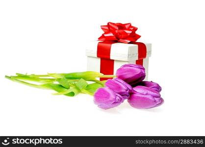 bouquet of violet tulips and gift box