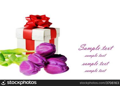 bouquet of violet tulips and gift box
