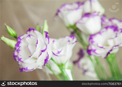 bouquet of vivid flower lisianthus