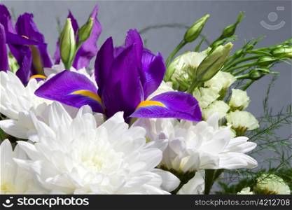 Bouquet of white chrysanthemums, roses and irises
