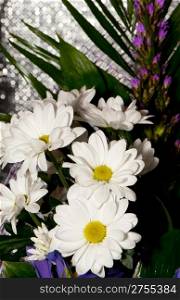 Bouquet of white chrysanthemums. Spring flowers