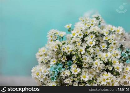 Bouquet of white daisy flowers wrapped in paper with cyan background