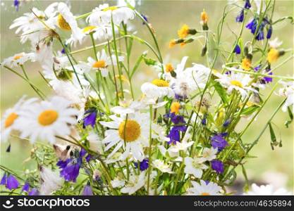 Bouquet of white flowers daisies and other field plants