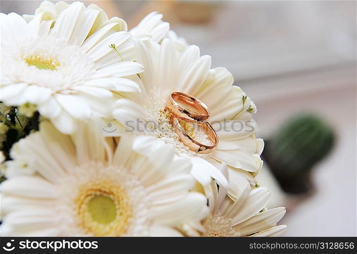 bouquet of white gerbera and wedding gold rings