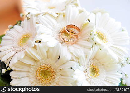 bouquet of white gerbera and wedding gold rings