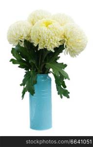 bouquet of white mums in pot  isolated on white background