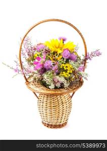 Bouquet of wild flowers and sunflowers in basket isolated