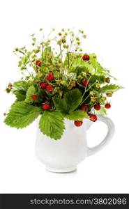 bouquet of wild strawberry over white