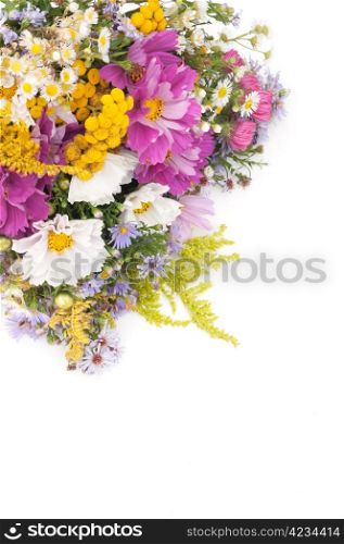 Bouquet of Wild Summer Flowers n White Background
