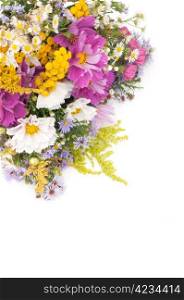 Bouquet of Wild Summer Flowers n White Background