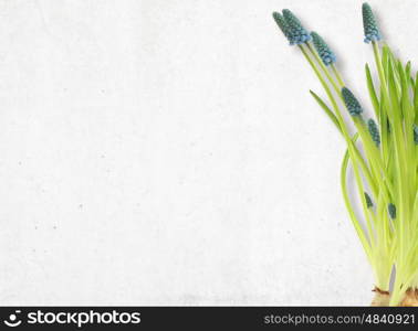 Bouquet of wildflowers on white table background. Top view horizontal, empty space for publicity information or advertising text.