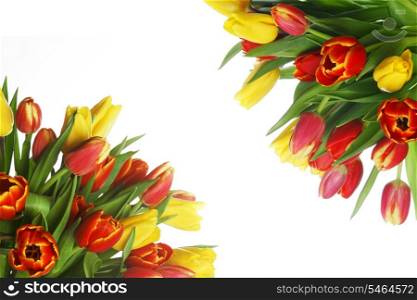 Bouquet of yellow and red tulips in corner isolated on white background