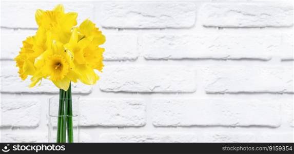 Bouquet of yellow bright daffodils flowers, Easter bells in vase on white brick background. Blooming spring flowers. Mockup, template for holiday, birthday, mother’s day. Banner, header, copy space.
