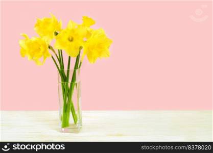 Bouquet of yellow daffodils, narcissus in transparent vase on pink background with copy space. Mockup, template for holiday, birthday, mother&rsquo;s day on yellow background with copy space for text.. Bouquet of yellow daffodils, narcissus in vase on pink background with copy space