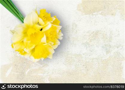 Bouquet of yellow daffodils, narcissus on aged white plaster background with copy space. Mockup, template for holiday, birthday, mother&rsquo;s day on yellow background with copy space. Top view, flat lay.. Bouquet of yellow daffodils, narcissus on aged white plaster background with copy space