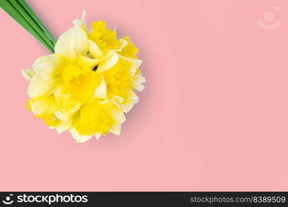 Bouquet of yellow daffodils, narcissus on pink background with copy space. Mockup, template for holiday, birthday, mother’s day on yellow background with copy space for text. Top view, flat lay.. Bouquet of yellow daffodils, narcissus on pink background with copy space