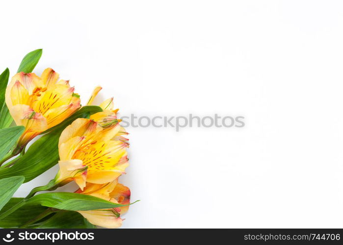 Bouquet of yellow flowers alstroemeria on white background. Flat lay. Horizontal. Mockup with copy space for greeting card, social media, flower delivery, Mother?s day, Women?s Day