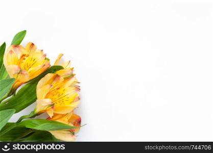 Bouquet of yellow flowers alstroemeria on white background. Flat lay. Horizontal. Mockup with copy space for greeting card, social media, flower delivery, Mother?s day, Women?s Day