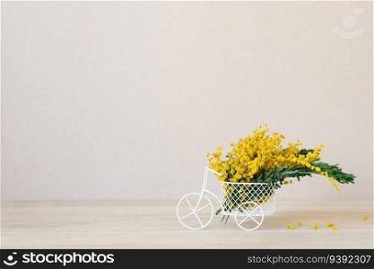 Bouquet of yellow mimosa flowers stands in a decorative bicycle. The concept of March 8, Easter, happy women&rsquo;s day