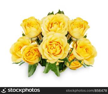 Bouquet of yellow rose flowers covered with dew drops isolated on white background
