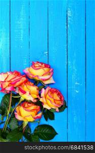 bouquet of yellow roses on a blue wooden background, an empty space at the top