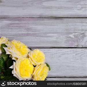 Bouquet of yellow roses on a white wooden background
