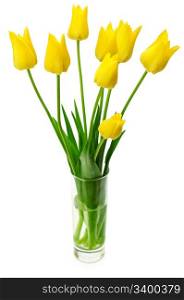 Bouquet of yellow tulips in a vase isolated on white background.