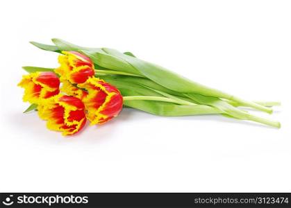 bouquet of yellow tulips isolated on white