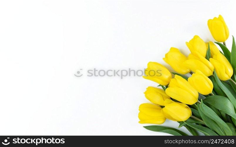 Bouquet of yellow tulips on a white background with©space.. Bouquet of yellow tulips on white background with©space.