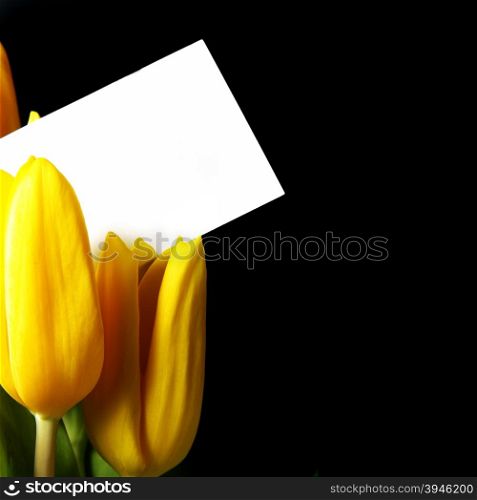 Bouquet of yellow tulips with blank card over black background