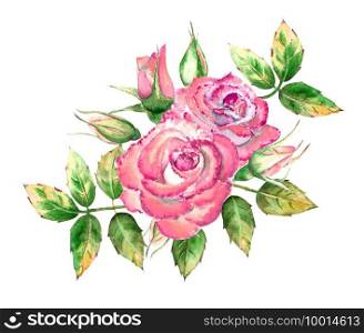 Bouquet with 3 pink rose flowers, green leaves, open and closed flowers. Delicate watercolor illustration.. Bouquet with 3 pink rose flowers, green leaves, open and closed flowers. Delicate watercolor illustration