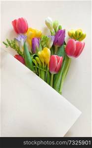 Bouquets Of Tulips and Freesia flowers on white paper