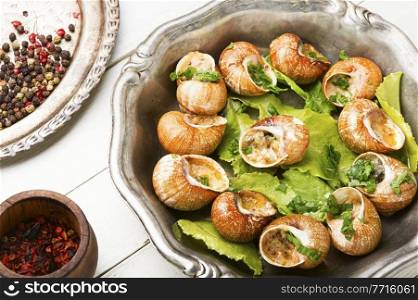 Bourgogne snail or escargot stuffed with green butter, French food.. French snail dish
