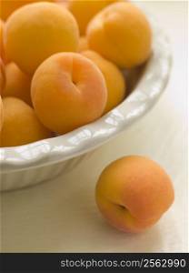 Bowl of Apricots