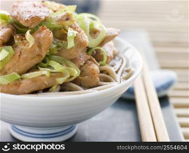 Bowl of Chicken and LeekSoba Noodles in Broth