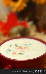 Bowl of creamy vegetable soup surrounded by hay and fall theme.