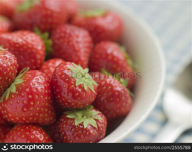 Bowl of English Strawberries