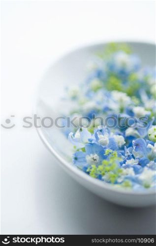 Bowl of flowers