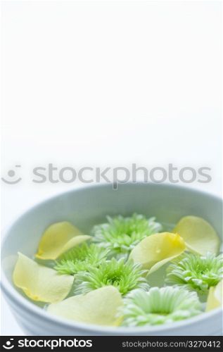 Bowl of flowers