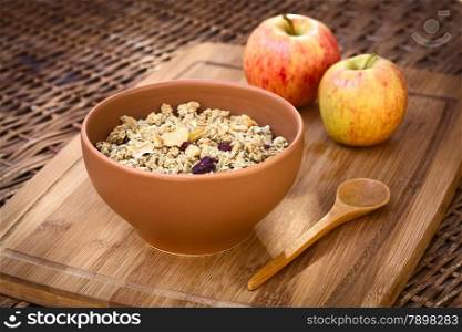 Bowl of healthy oatmeal cereal with almonds, dried apple and cranberries photographed with natural light (Selective Focus, Focus in the middle of the granola)