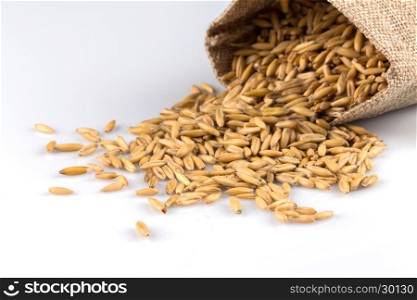 bowl of organic oat grains isolated on white background