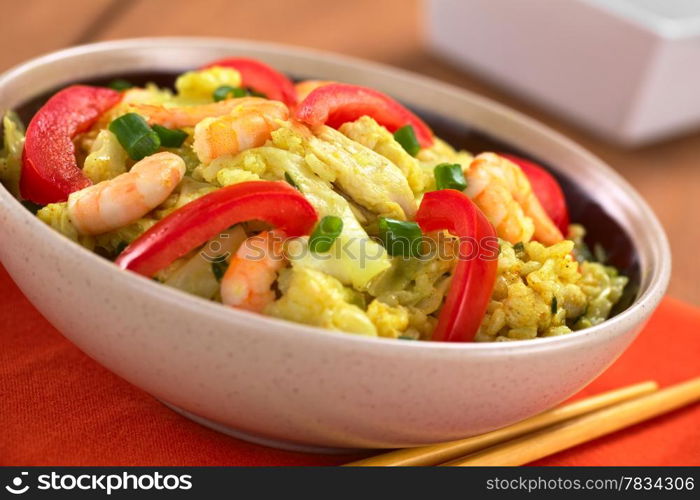 Bowl of spicy rice dish with cabbage, chicken and shrimp, garnished wih tomato slices and scallion (Selective Focus, Focus on the middle of the dish). Rice Dish with Cabbage, Chicken and Shrimp