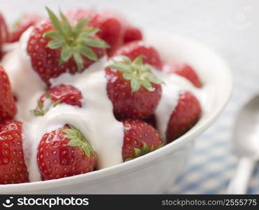 Bowl of Strawberries and Cream