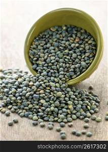 Bowl of uncooked French lentils