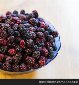 Bowl of wild blackberries in shades of deep red and black shot from overhead