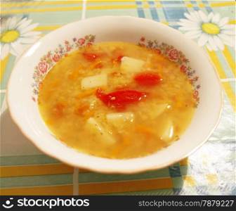 Bowl with a fresh soup on the tablecloth on the table