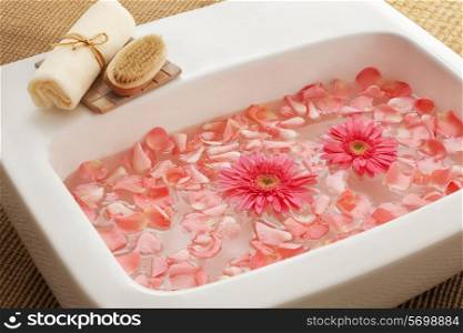 Bowl with gerbera flowers and petals