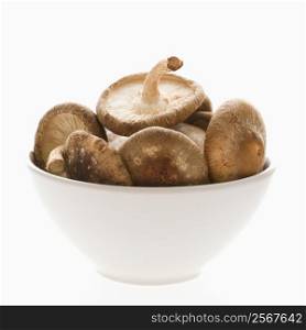 Bowlful of shiitake mushrooms on white background.