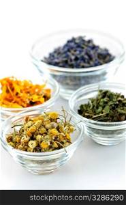 Bowls of dry medicinal herbs on white background