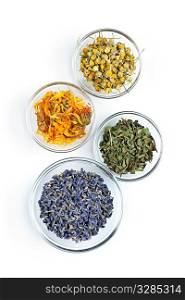 Bowls of dry medicinal herbs on white background from above